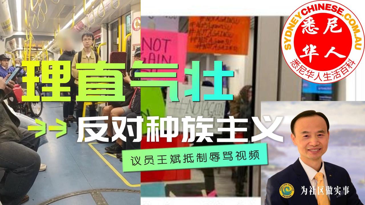议员王斌抵制辱骂视频：“理直气壮地反对种族主义”